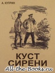 Куст сирени в кратком содержании